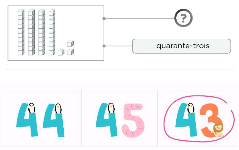 Les écritures des nombres de 40 à 49 en lettres chiffres et les quantités – Nombres et calculs CP - Connaître chaque représentation des nombres de 40 à 49 - Exemple représentation des quantités